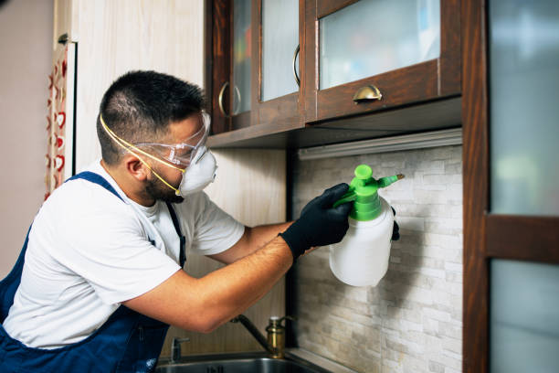 Best Pest Inspection Near Me  in Highwood, IL
