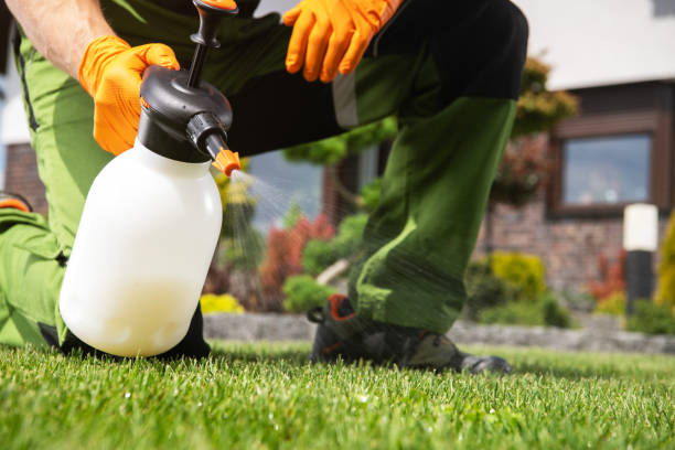 Best Cockroach Control Services  in Highwood, IL