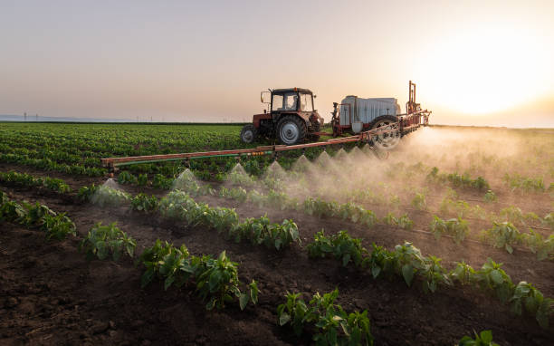 Best Mosquito Control Services  in Highwood, IL