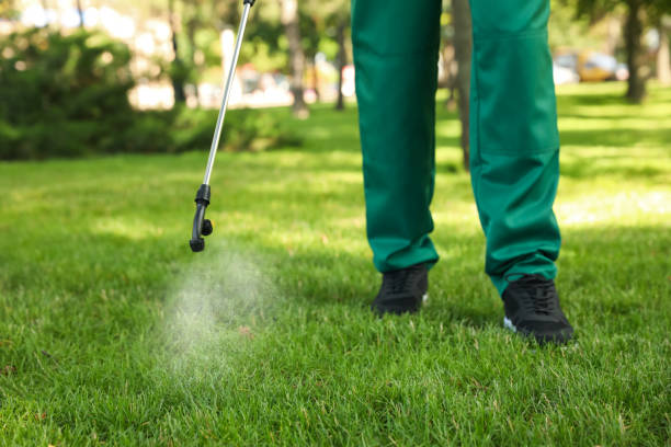 Best Rodent Control Near Me  in Highwood, IL