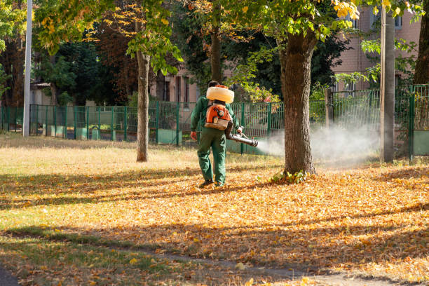 Best Termite Control Services  in Highwood, IL
